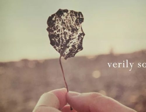 Calasunday appuntamento con i “Verily So” Domenica 24 Agosto